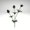 Purple Thistle Spray | 32" Artificial Floral Stem for Rustic & Gothic Arrangements-FS323623